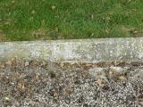 image of grave number 219496